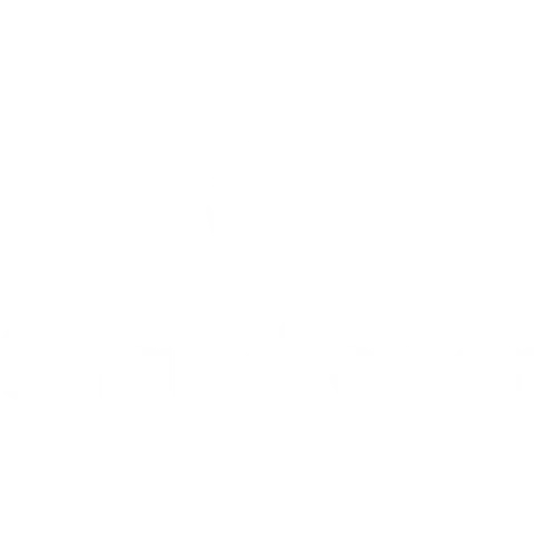 Adicional de Logo - Snapdragon